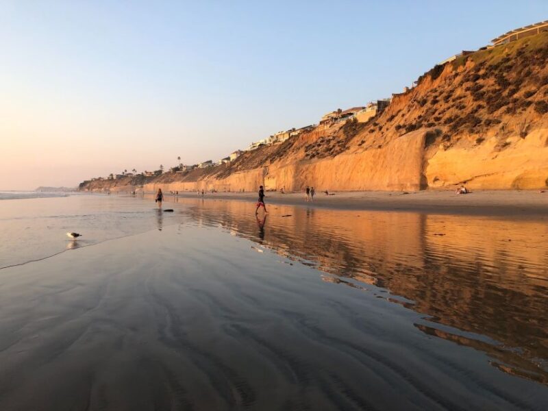 Solana Beach: Stand-up Paddle Board Rental - The Experience: What to Expect from Your Day on the Water