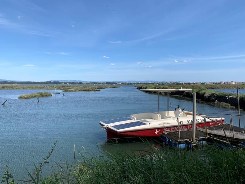 Solar Boat Tour along the Salgado da Ria de Aveiro - A Deep Dive into the Solar Boat Tour Experience