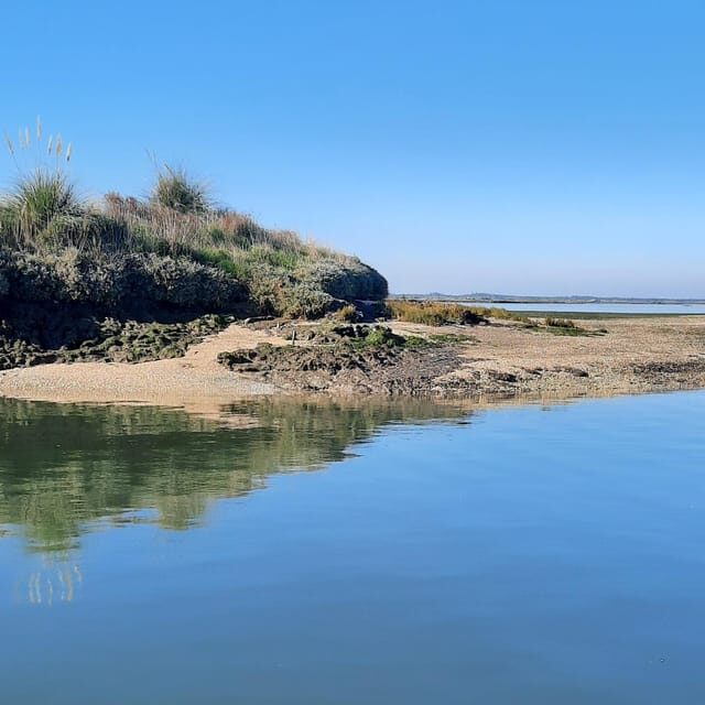Solar Boat Tour along the Salgado da Ria de Aveiro - Who Will Love This Experience