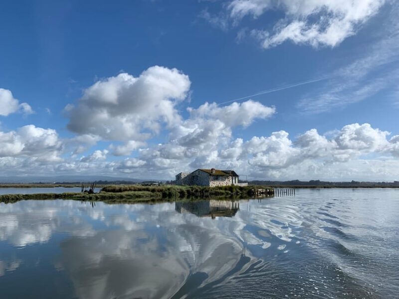 Solar Boat Tour along the Salgado da Ria de Aveiro - FAQ