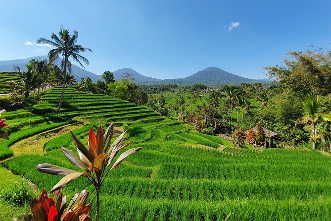 Solo or Group Tour - 10 Hours, 5 Persons Max - An Honest Look at the Bali Private Tour