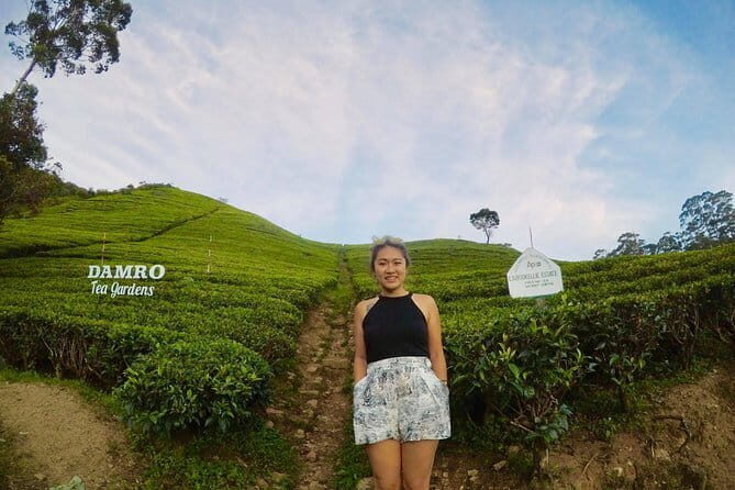 Solo Traveler With Holiday Walkers Sri Lanka ( Round Tour ) - Introduction