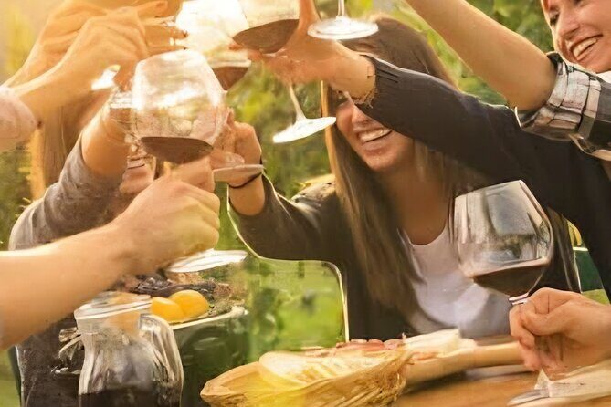 Solvang Ventura Wine Tour by Car - Who Will Enjoy This Tour the Most?