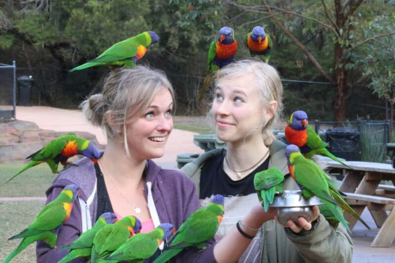 Somersby: Australian Reptile Park Day Pass - 9am to 5pm - Authentic Experiences and Visitor Feedback