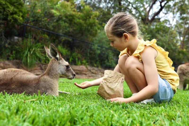 Somersby: Australian Reptile Park Day Pass - 9am to 5pm - The Value Proposition