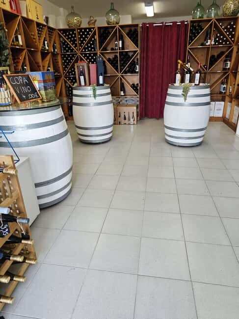 Son Cavaller - Tasting wines from Mallorca - Wine shop Cala Mandia - An In-Depth Look at the Experience