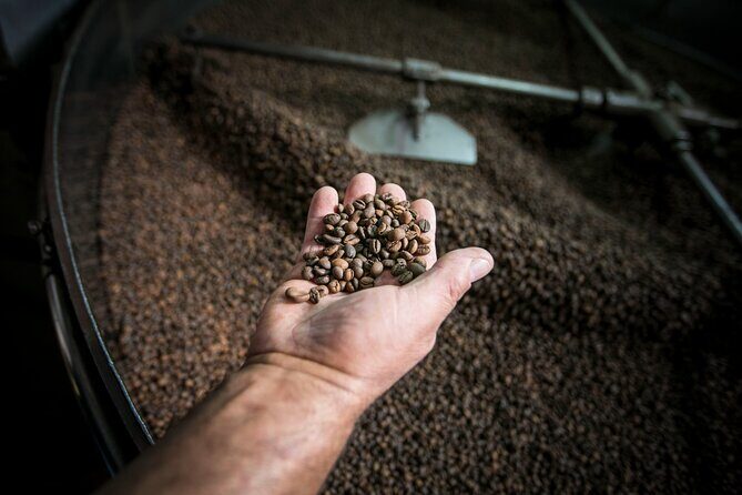 Song of the Sea: Fish, Seafood and Tradition in Lisbons Port Zone - An In-Depth Look at the Tour Experience