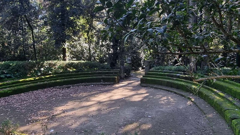 Songs, Stories & Street Food: A Walking Tour of Naples - Practical Details and What to Expect