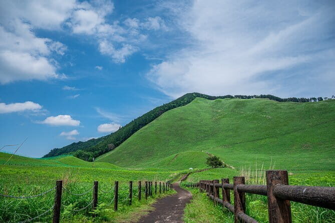 Soni Highlands Eco Adventure and Giant Salamanders From Nagoya - Practicalities and Value