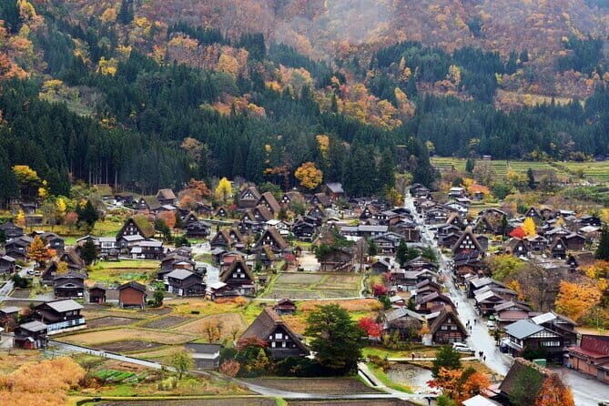 Soni Highlands Eco Adventure and Giant Salamanders From Nagoya - Why This Tour Stands Out