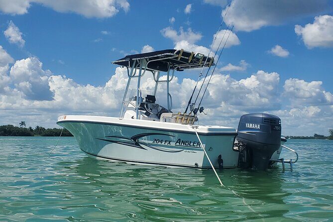 Sonnys Boat Tours Full Day Sand Bar Adventure Englewood, Florida - Why This Tour Stands Out