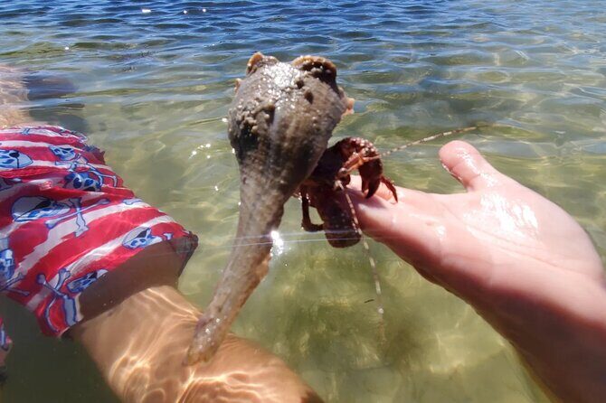 Sonnys Boat Tours Full Day Sand Bar Adventure Englewood, Florida - FAQ