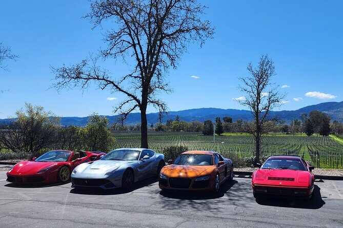 Sonoma and Napa Champagne Wine Private Tour Half Day - What’s Included and What’s Not