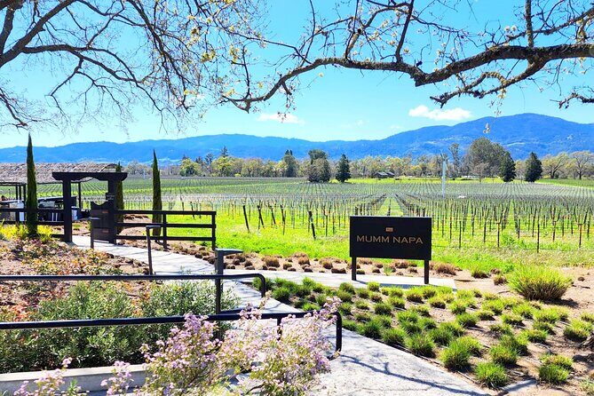 Sonoma and Napa Champagne Wine Private Tour Half Day - Who Is This Tour Best For?