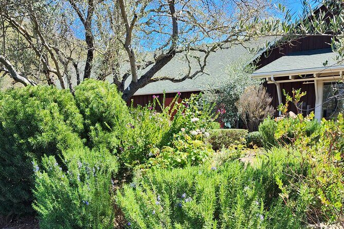 Sonoma and Napa Champagne Wine Private Tour Half Day - Final Thoughts