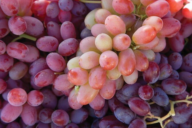 Sonoma And Napa Wine Tour Private Tours 8 to 10 Hours max 14 pax - Key Points