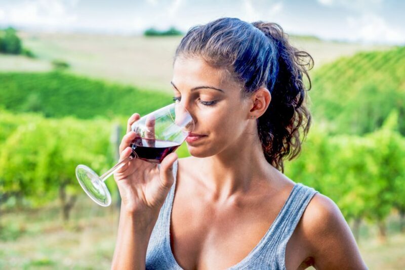 Sonoma County: Tasting Pass (Choose 1, 2, or 90 Days) - A Practical Overview of the Sonoma County Tasting Pass