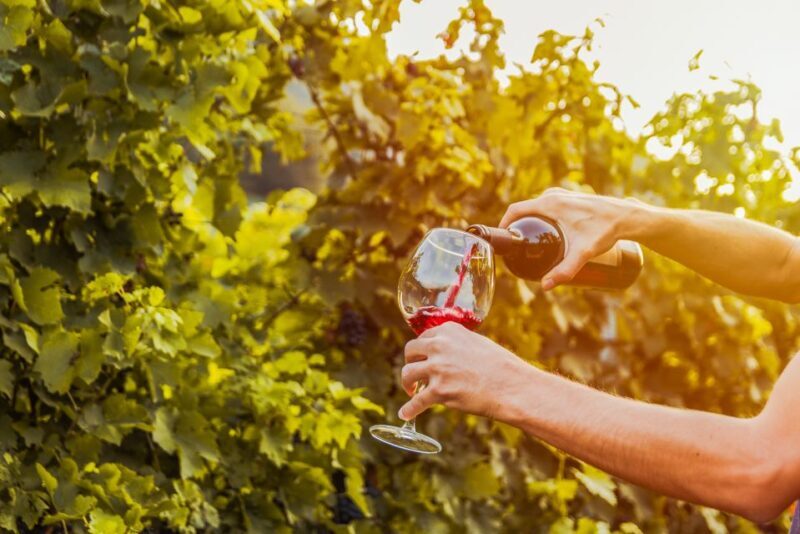Sonoma County: Tasting Pass (Choose 1, 2, or 90 Days) - Who Will Love This Pass?