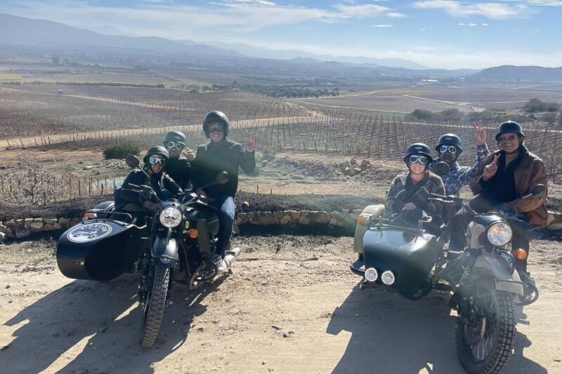 Sonoma: Private Tandem Sidecar Winery Tour - Who Will Love This Tour?