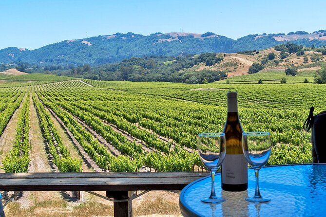 Sonoma Valley All-Inclusive Wine Tour - In-Depth Review of the Sonoma Valley All-Inclusive Wine Tour