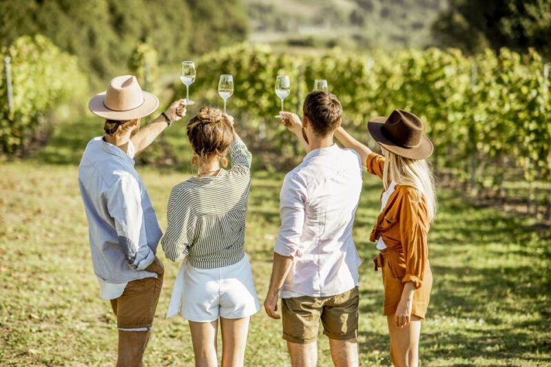 Sonoma Valley: Guided Winery Tour with Picnic Lunch - Final Thoughts