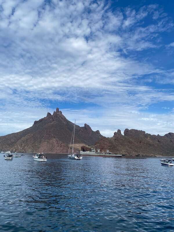 Sonora: Tour of the beach and viewpoint of San Carlos - Who Should Consider This Tour?