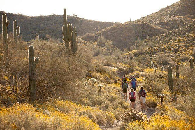 Sonoran Desert Guided Hike - FAQs