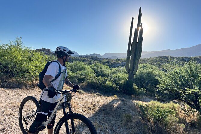Sonoran Desert Guided Mountain Bike Adventure - Who Will Love This Experience?