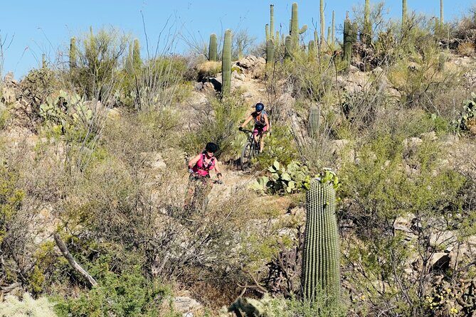 Sonoran Desert Guided Mountain Bike Adventure - Final Thoughts: Is It Worth It?