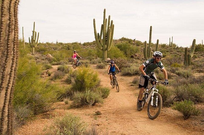 Sonoran Desert Guided Mountain Bike Tour - Pricing and Value