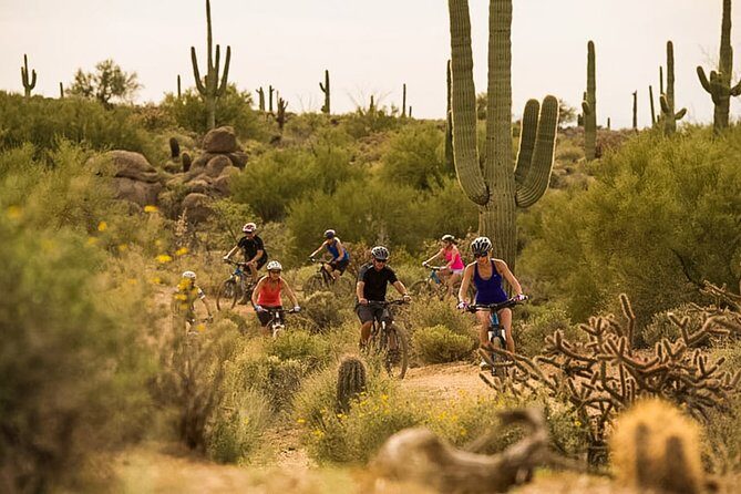 Sonoran Desert Guided Mountain Bike Tour - Who Should Consider This Tour?