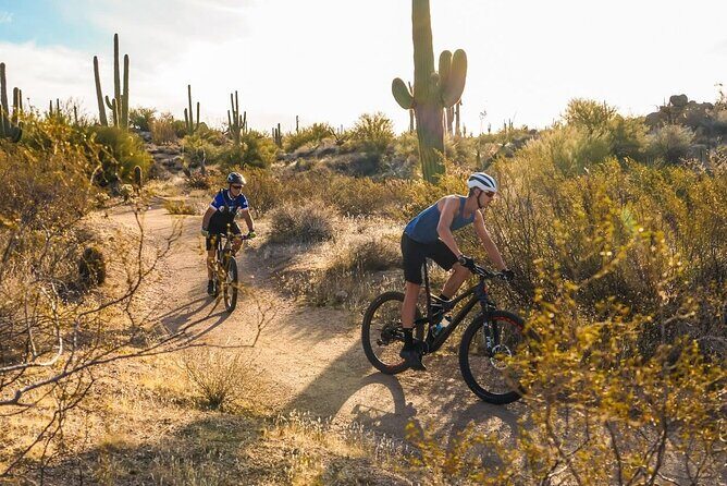 Sonoran Desert Guided Mountain Bike Tour - The Sum Up: Is This the Right Experience for You?