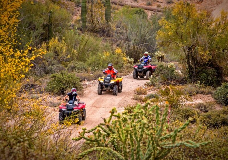 Sonoran Desert: Guided UTV or ATV Desert Tour - Key Points