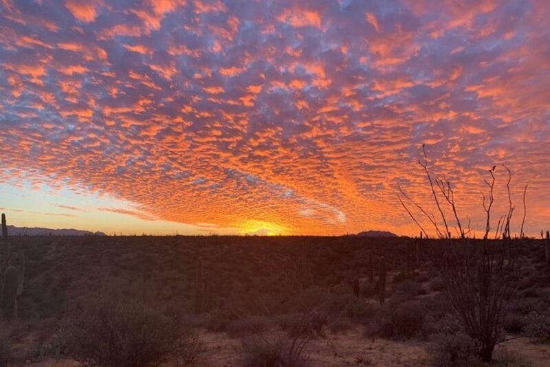 Sonoran Desert: Sunset Jeep Tour with Tonto National Forest - Final Thoughts