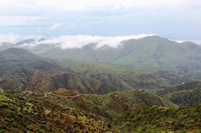 Sonoran Desert To MountainTop Jeep Tour minutes from Scottsdale - Who Is This Tour Perfect For?