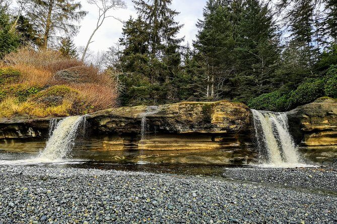 Sooke to Port Renfrew: Wild Pacific Adventure - Exploring the Sooke to Port Renfrew: Wild Pacific Adventure — A Detailed Review