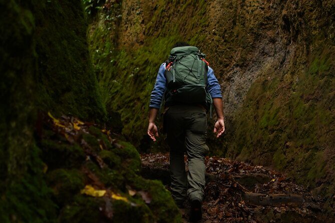 Sorano and its wonders, The Vie Cave and wine cellars - What’s Included & What You Should Know