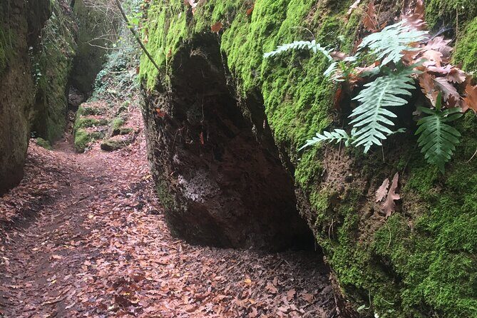 Sorano and its wonders, The Vie Cave and wine cellars - FAQ