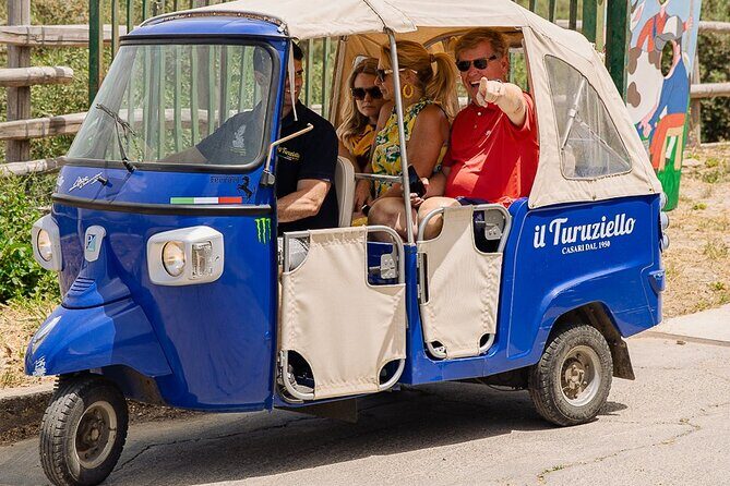 Sorrento Ape Tour, Lemon Garden, Mozzarella Show & Pizza Class - What to Expect from the Itinerary