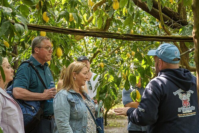 Sorrento Ape Tour, Lemon Garden, Mozzarella Show & Pizza Class - Final Thoughts