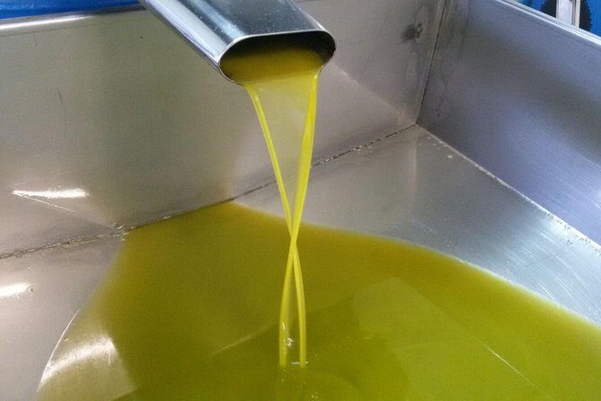 Sorrento Farm and Food Experience including Olive Oil, Limoncello, Wine tasting - An In-Depth Look at the Experience