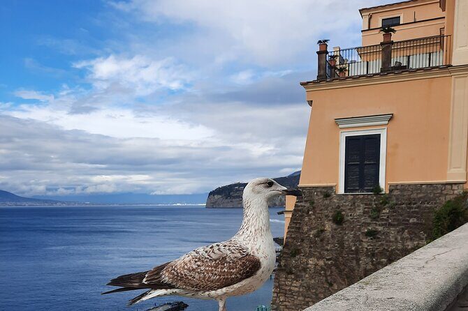Sorrento grand tour off the beaten track with breathtaking landscapes - What We Love About This Tour