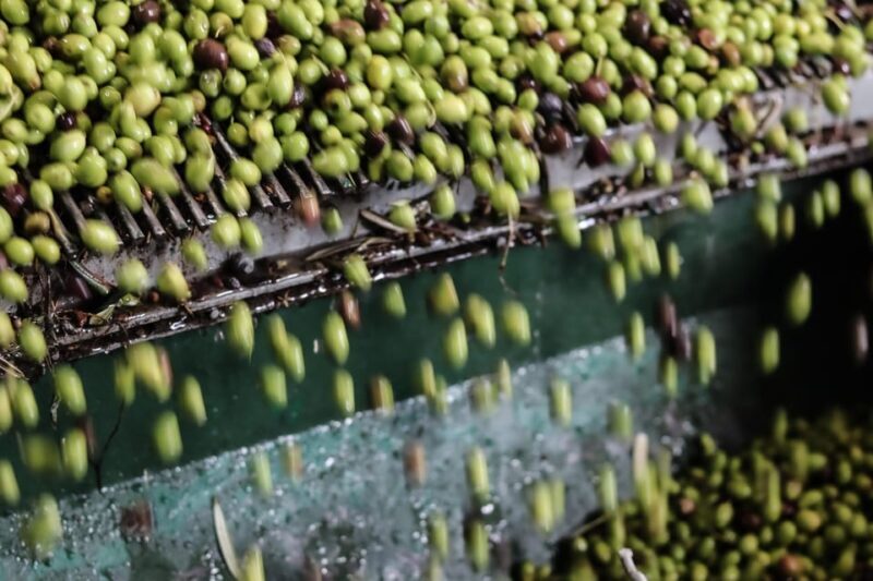 Sorrento: Guided Olive Mill Visit with Tastings - The Value Proposition
