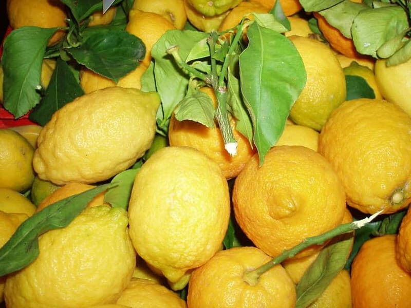 Sorrento: Limoncello Factory Tour and Tasting Experience - The Tasting Session — A Flavorful Finale