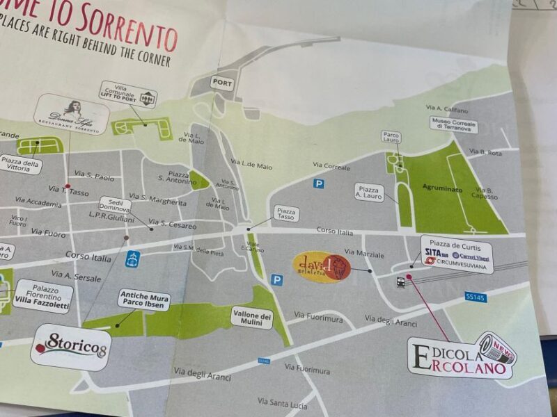 Sorrento: Skip-the-Line Pompeii Express Tour by Train - Visualizing the Experience