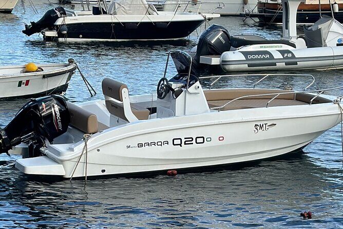 Sorrentomaxiboat tours to Capri - The Price and Its Value