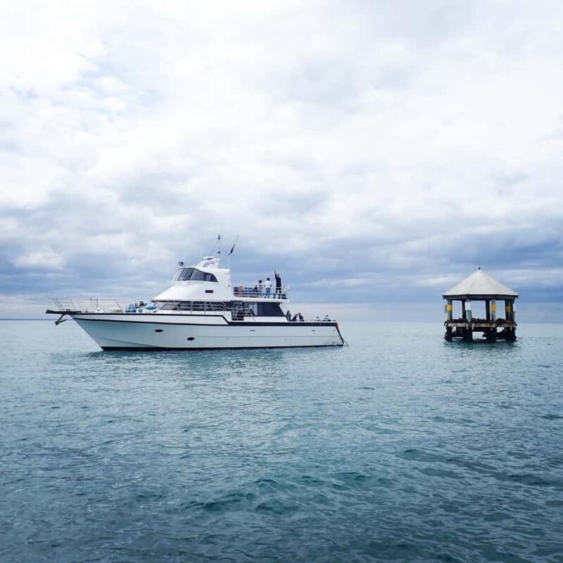 Sorrento,Mornington Peninsula: Wildlife & Sightseeing Cruise - Who Is This Cruise Best For?