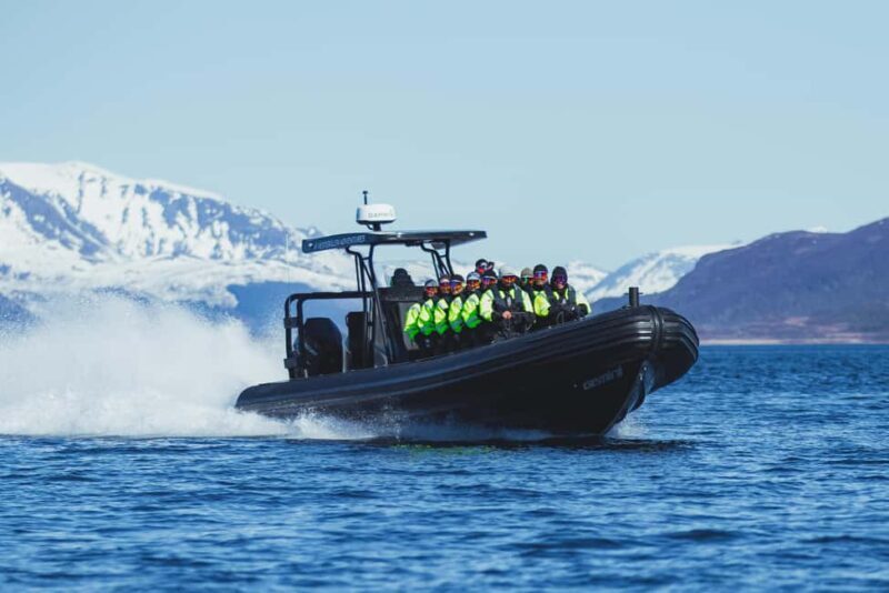 Sortland: Trollfjord RIB Boat Tour - The Value of the Experience