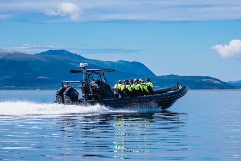 Sortland: Trollfjord RIB Boat Tour - What’s Included and Not