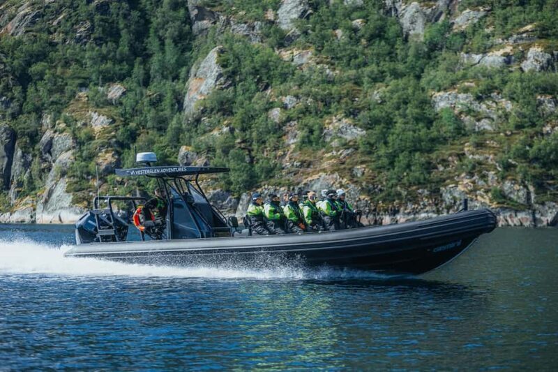 Sortland: Trollfjord RIB Boat Tour - FAQ